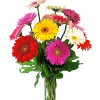 цветы и букеты в новокуйбышевске