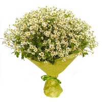 цветы и букеты в новокуйбышевске